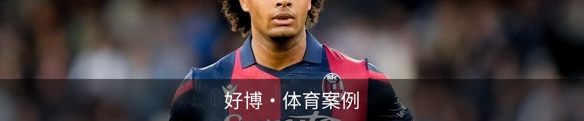 好博·体育案例